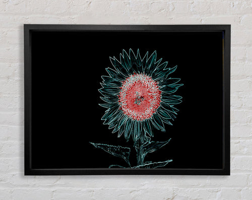 Aboriginal Kangaroo 2 Framed Print