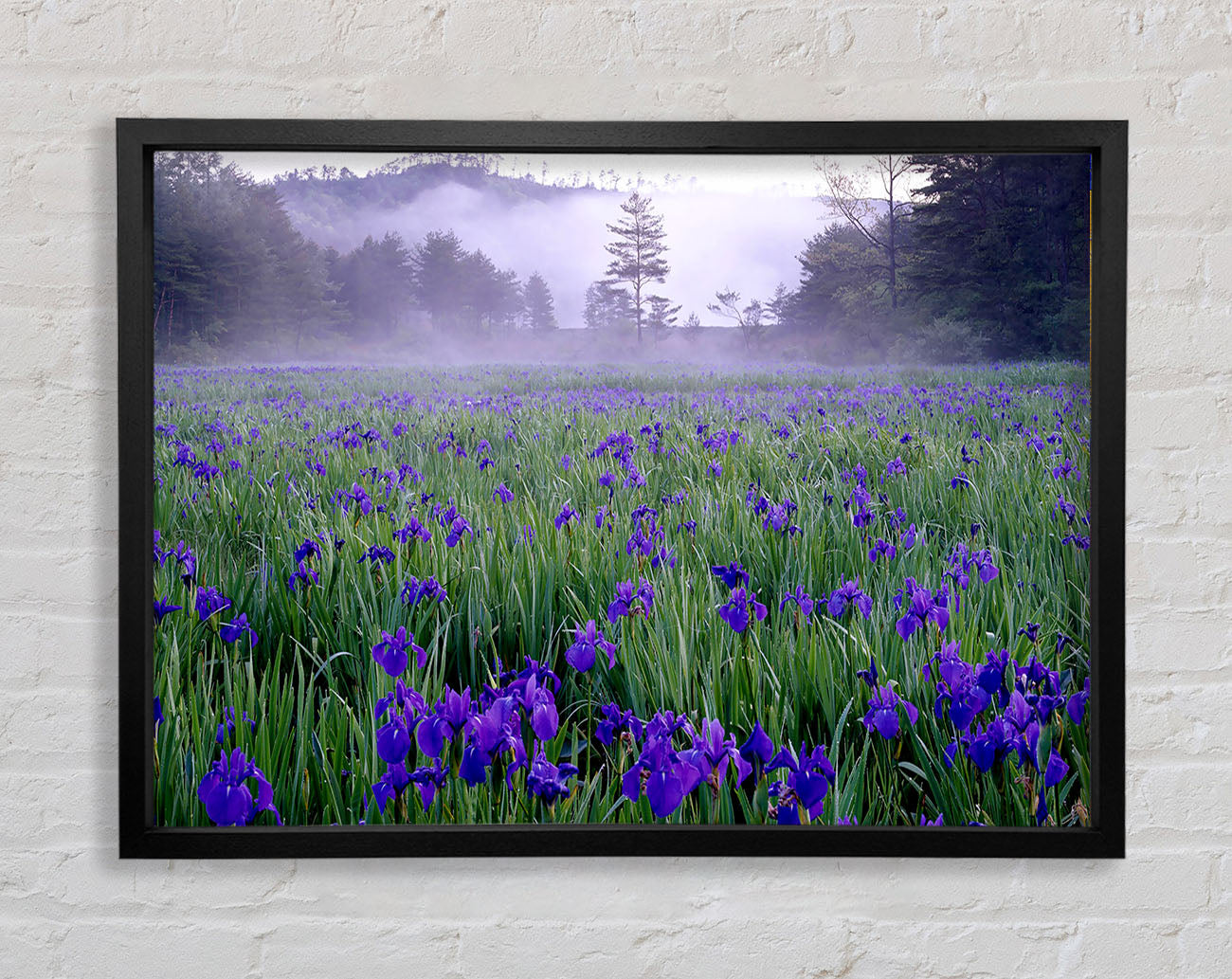 Bathroom Quote Soak Relax Enjoy Lilac Framed Print