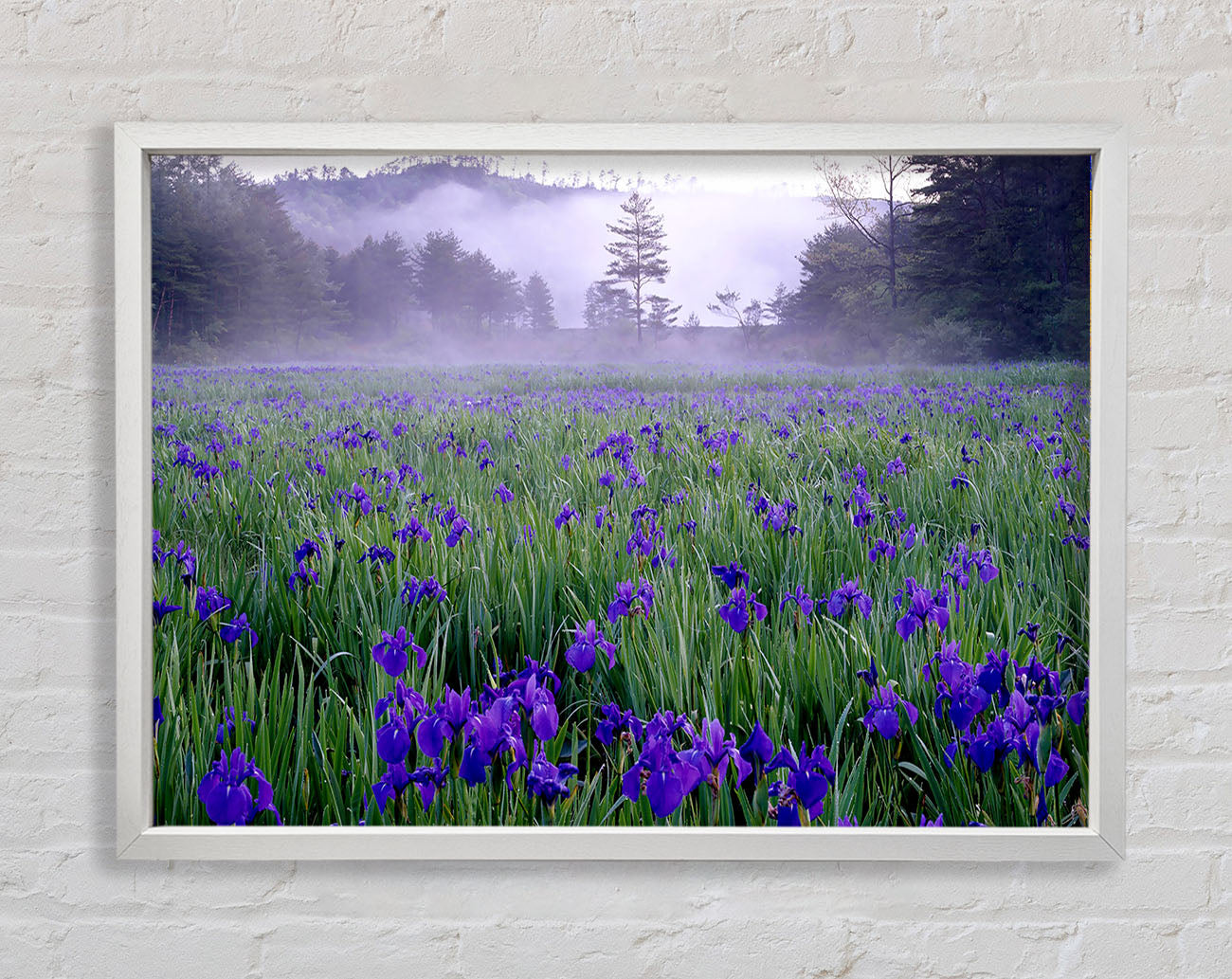 Bathroom Quote Soak Relax Enjoy Lilac Framed Print